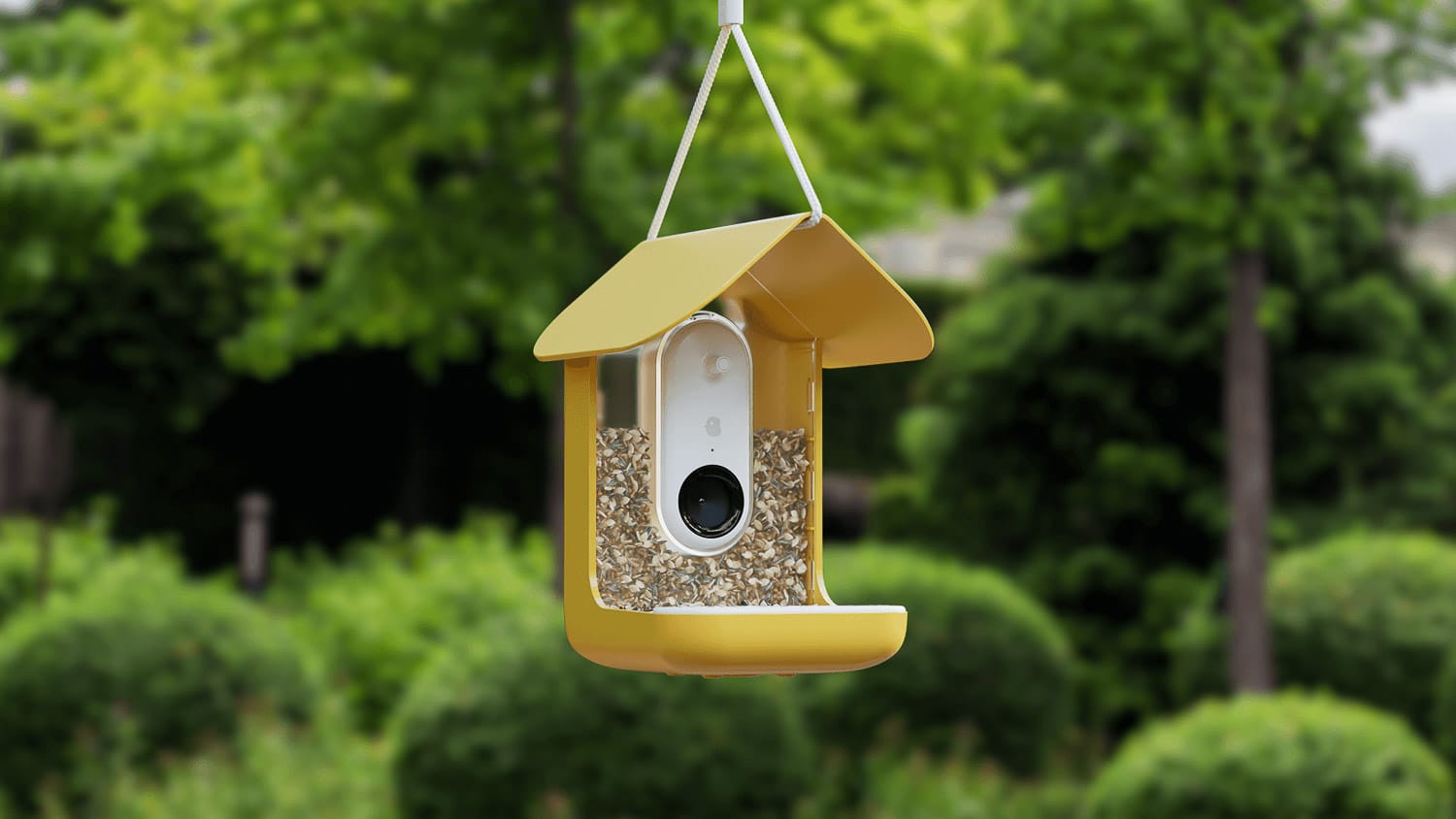 The Best Bird Feeder Cameras of 2024 (I Tested 6 In My Yard!)