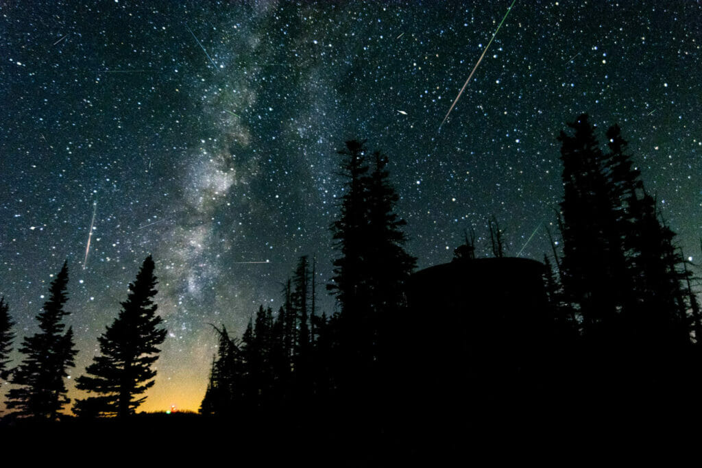 The milky way and trails from meteors and planes in the night sky above a forest