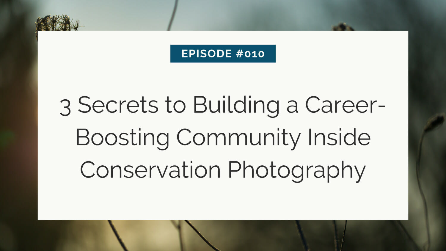 Episode #010 - tips on creating a supportive network for advancement in conservation photography.