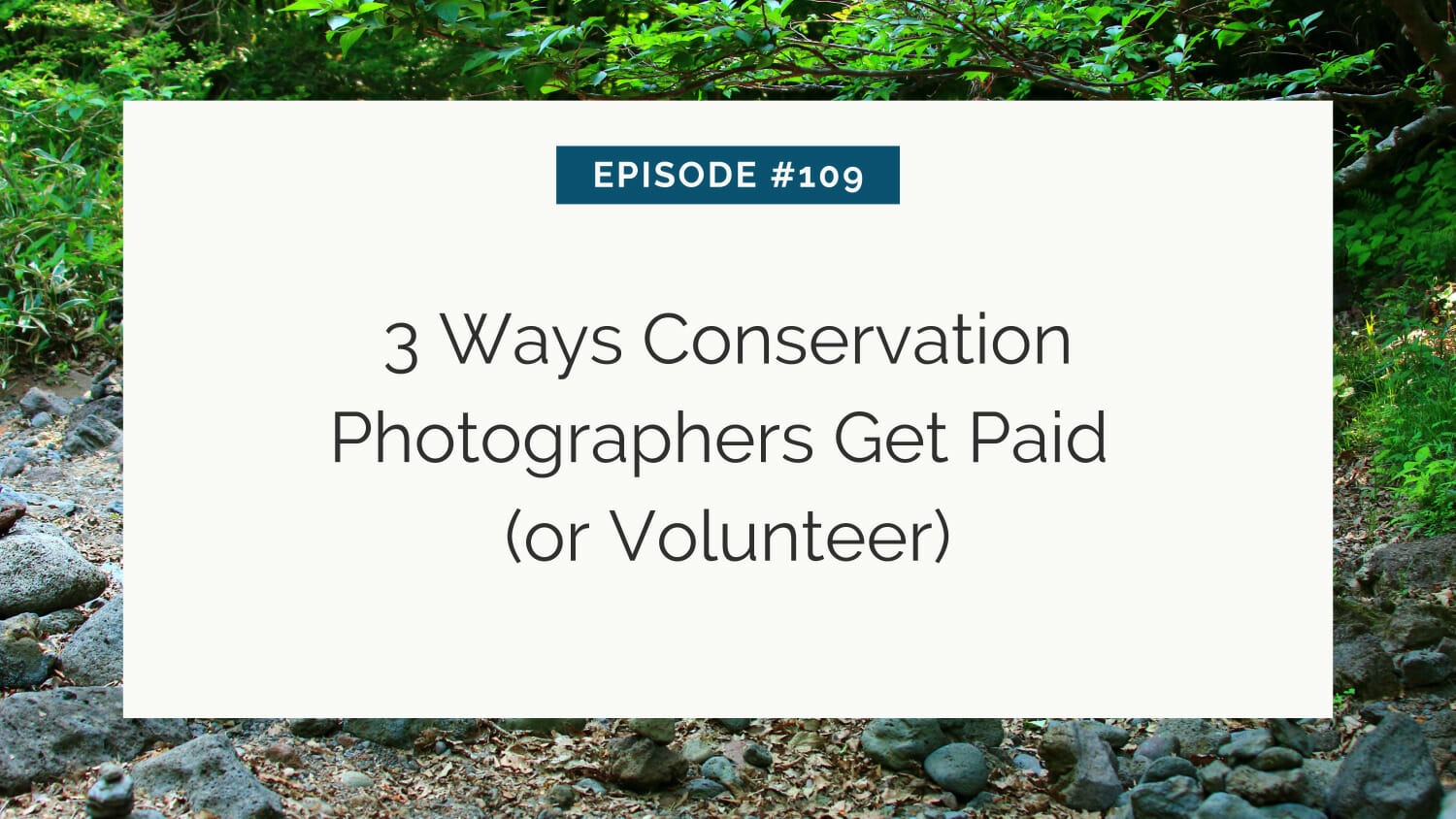 Title slide presenting episode #109 about ways conservation photographers get compensated, either through payment or volunteering.