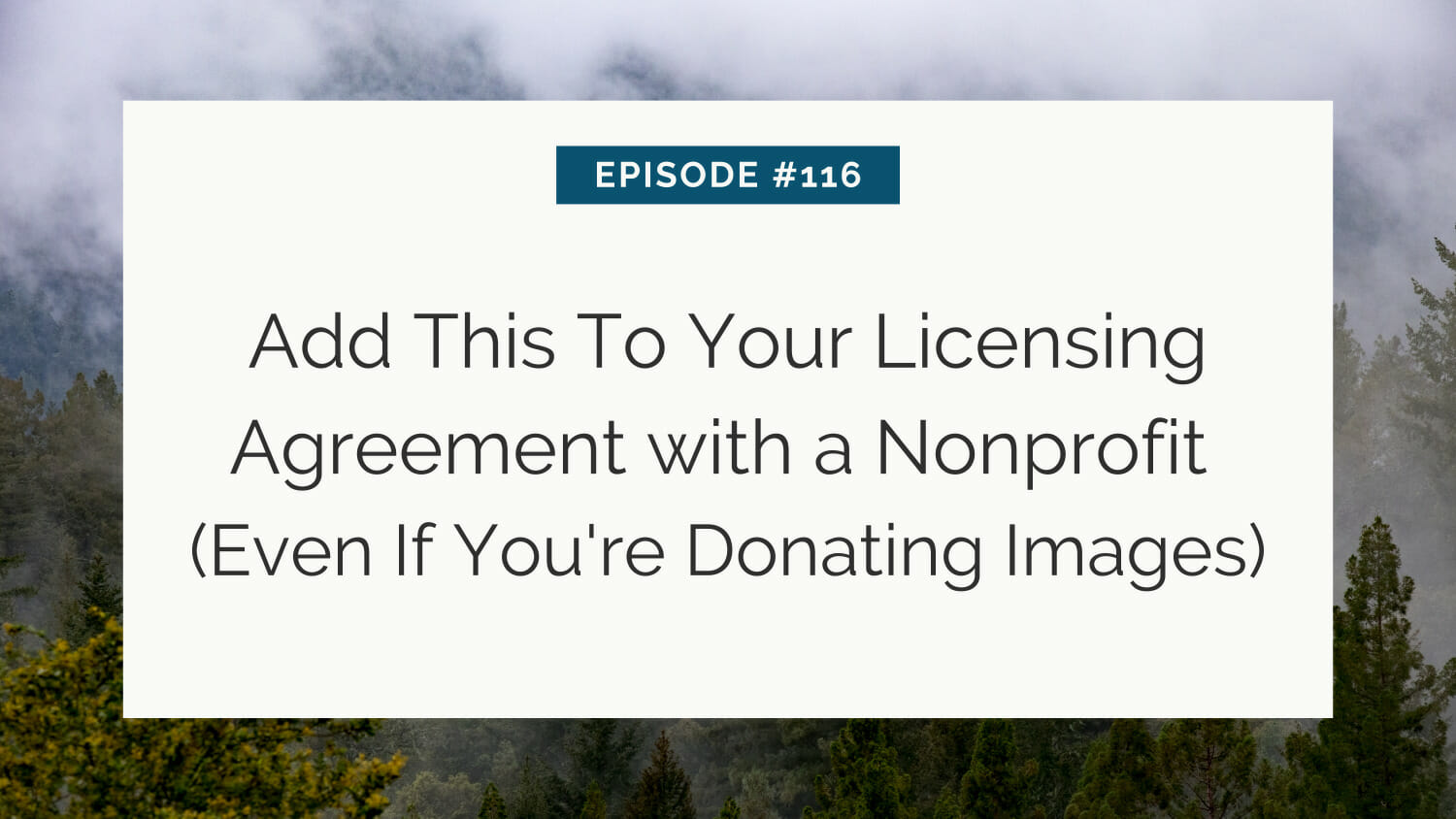 Podcast episode 116: insight on including licensing terms for donated images in nonprofit agreements.