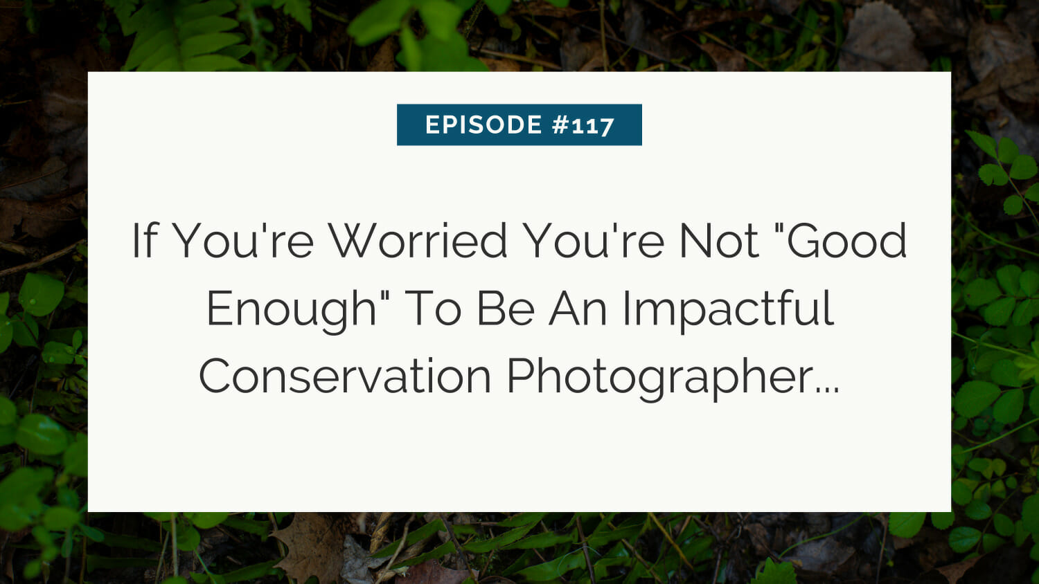 Inspirational quote for aspiring conservation photographers from episode #117.