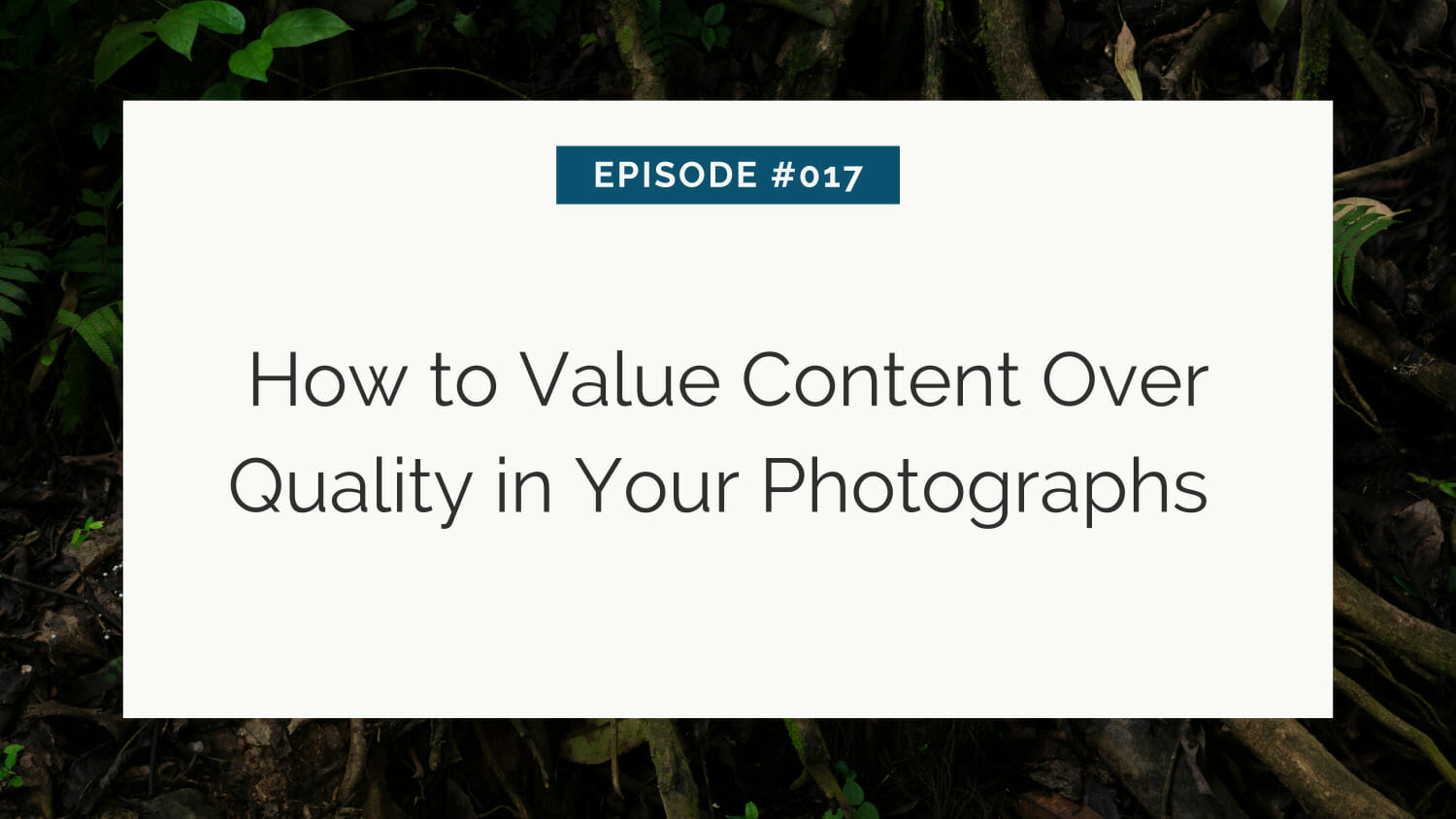Slide with title "episode #017: how to value content over quality in your photographs" on a backdrop of leaves.