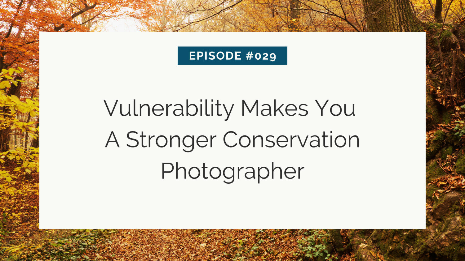 Slide from a presentation titled "episode #029: vulnerability makes you a stronger conservation photographer" against an autumn forest backdrop.