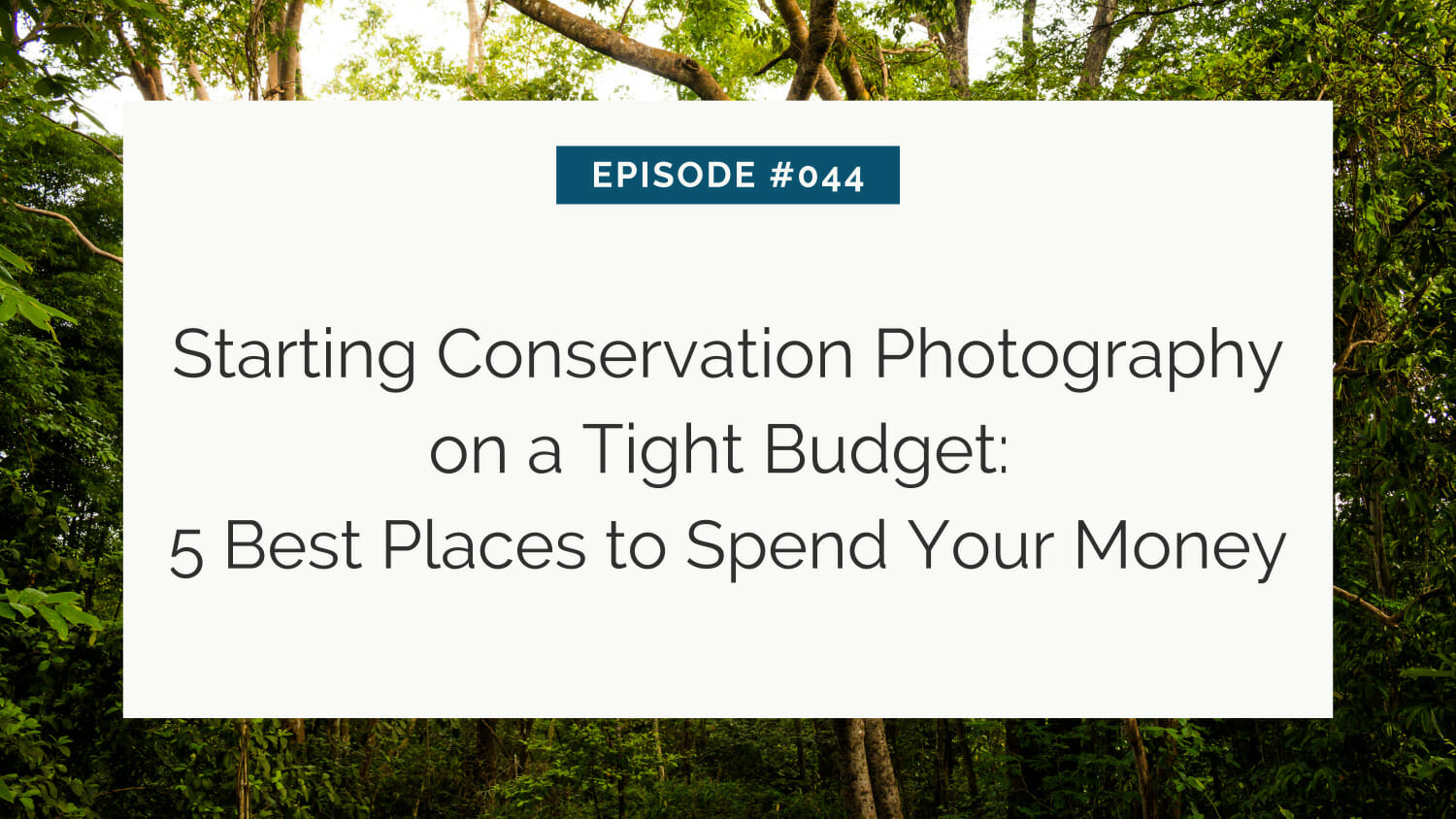 An informative slide about beginning conservation photography with budgeting tips, titled 'starting conservation photography on a tight budget: 5 best places to spend your money,' set against a lush forest backdrop.