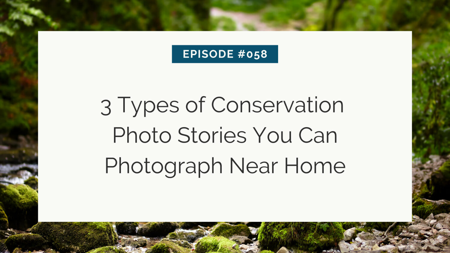 Title slide for episode #058 on "3 types of conservation photo stories you can photograph near home" set against a serene forest background.