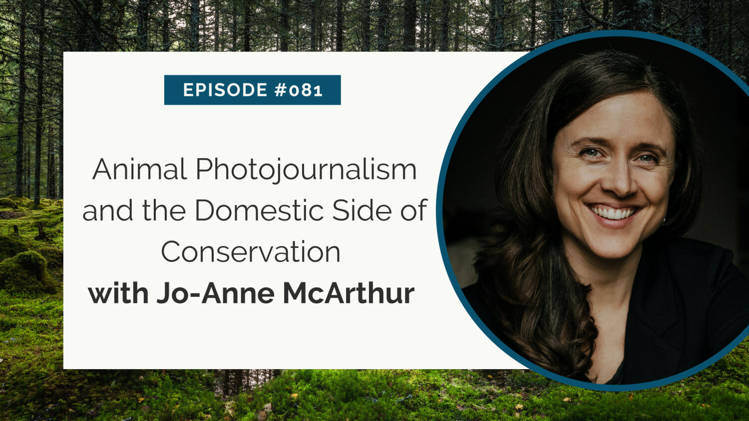 Podcast episode graphic featuring jo-anne mcarthur discussing animal photojournalism and domestic conservation on episode #081.