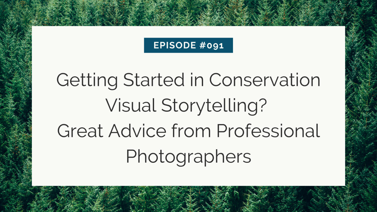 Aerial view of a dense forest with overlay text about an episode on conservation visual storytelling advice from professional photographers.
