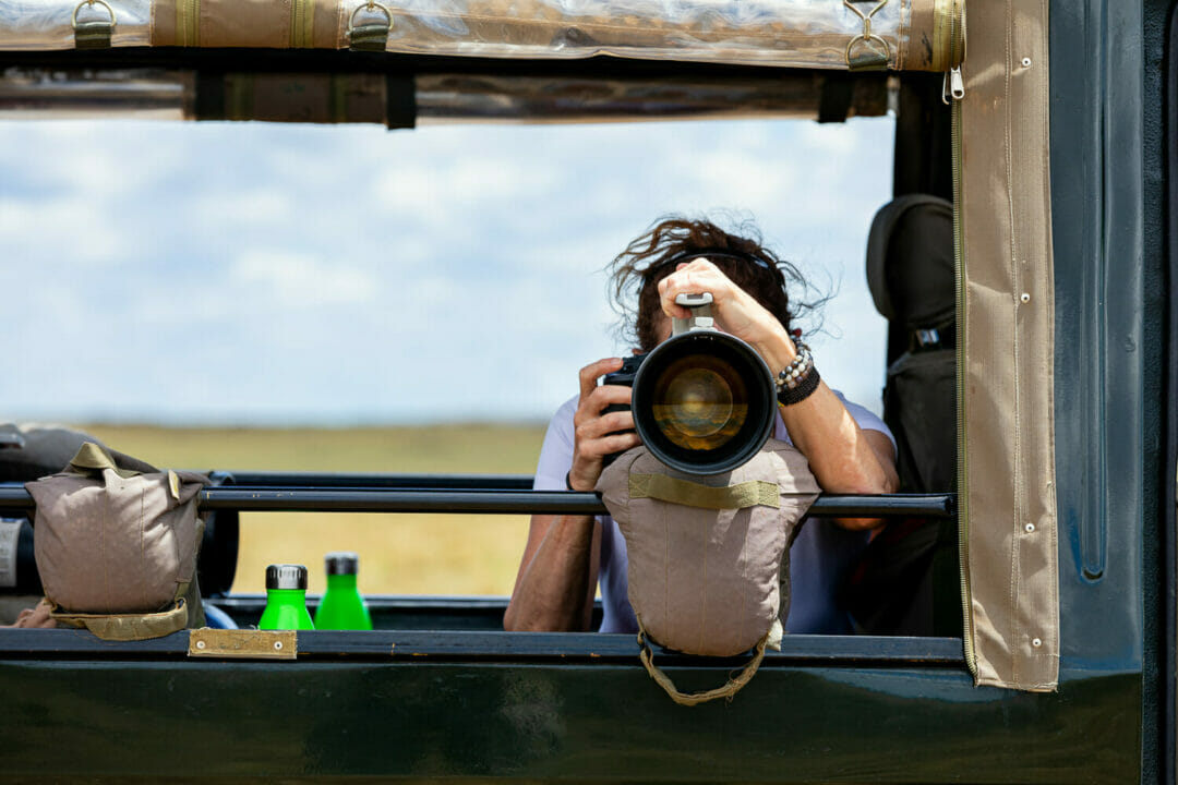 How To Be A Professional Wildlife Photographer: Step By Step Guide