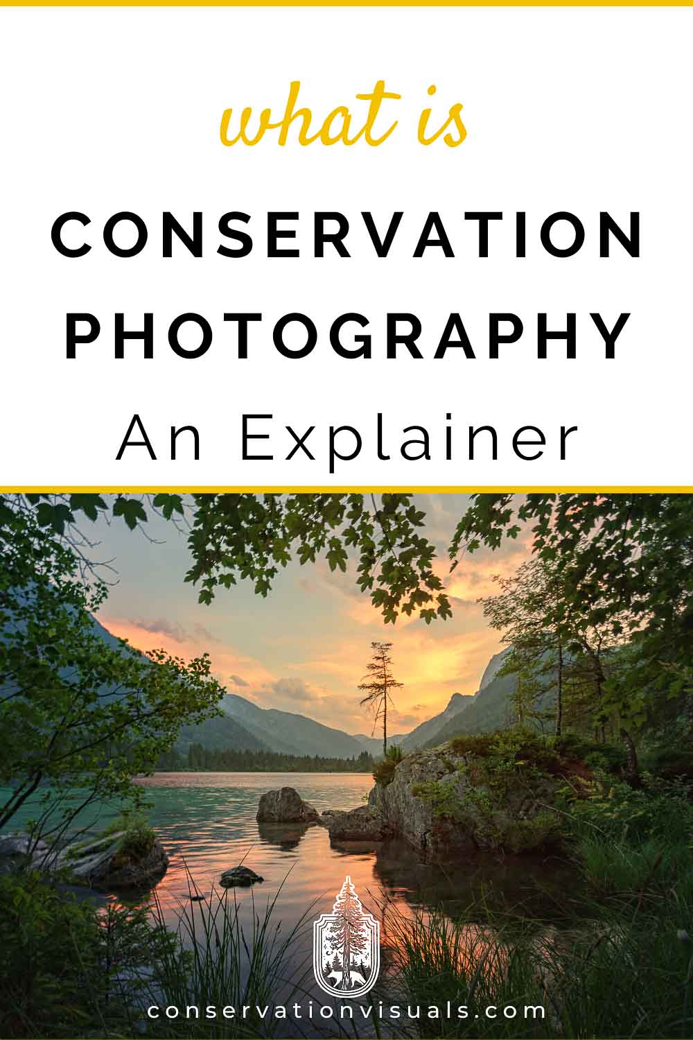 What is Conservation Photography?