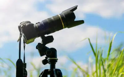 Camera Lens Hoods: How to Use Them for Better Nature Photography