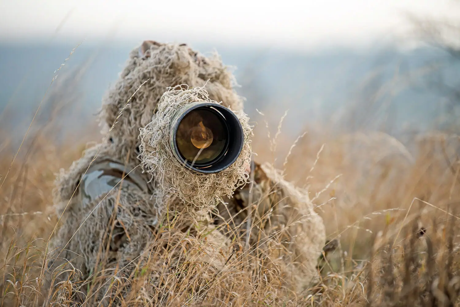 How to Be a Professional Wildlife Photographer: Step By Step Guide