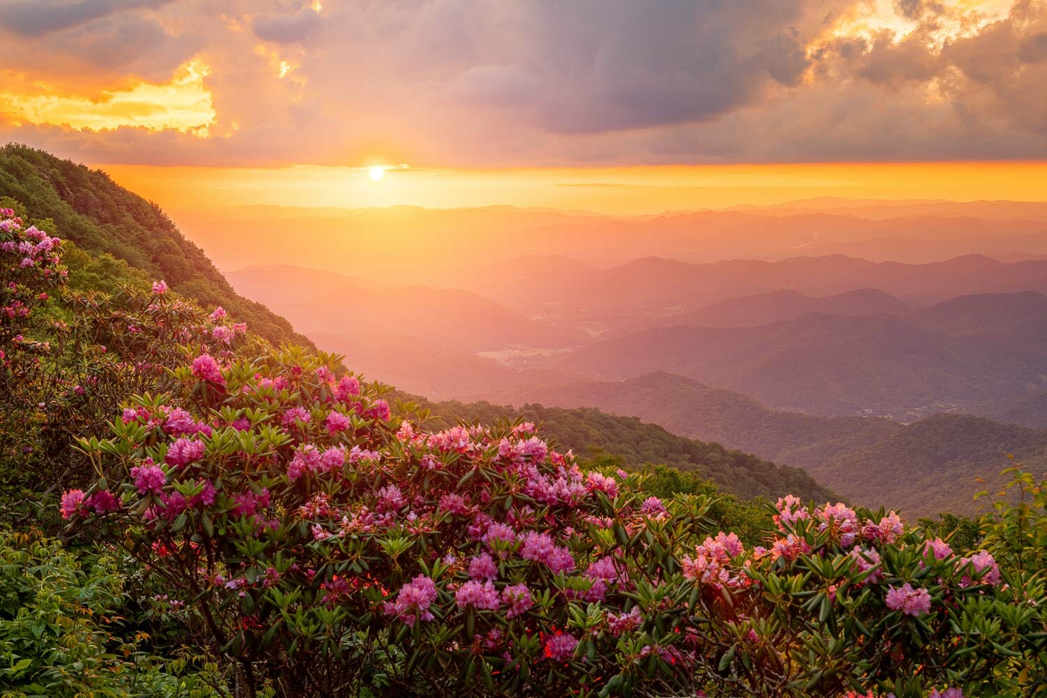 Sunset Nature Photography: 9 easy ways to take better golden hour