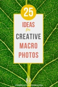 Inspirational poster promoting 25 ideas for creative macro photography, set against a detailed green leaf background.