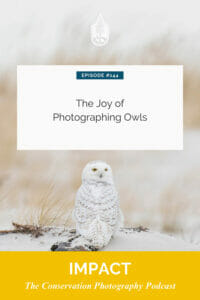 Podcast episode cover featuring a snowy owl with the title 'the joy of photographing owls' for the conservation photography podcast.