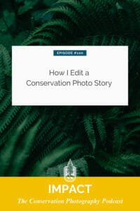 Podcast cover for "impact the conservation photography podcast" featuring episode #100 titled "how i edit a conservation photo story" with a background of lush green foliage.