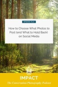 A podcast episode cover for "the conservation photography podcast" featuring the title "how to choose what photos to post (and what to hold back)" set against a background image of a sunlit forest.