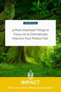 Podcast episode cover featuring '5 most important things to focus on to dramatically improve your photos fast' set against a vivid green forest background.