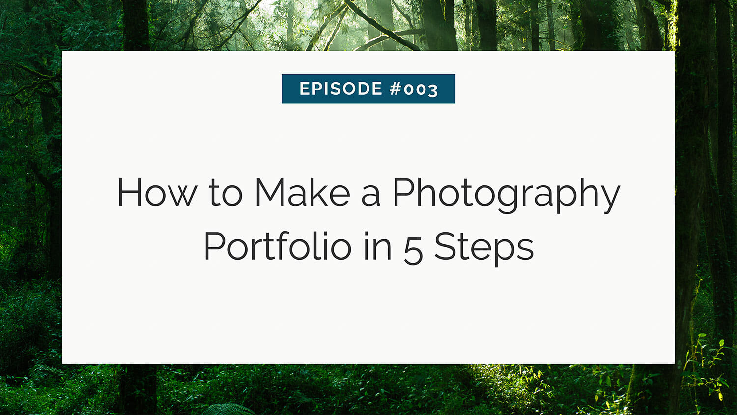 How To Make A Photography Portfolio In 5 Steps