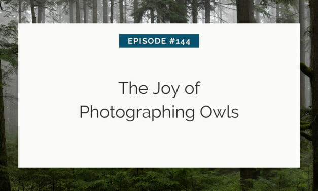 Slide with title "the joy of photographing owls" for episode #144, set against a backdrop of a misty forest.