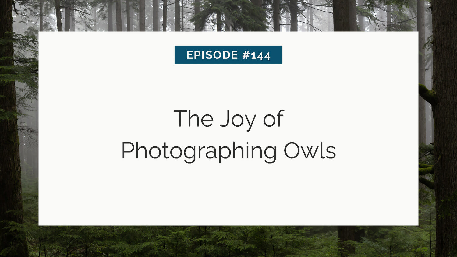 Slide with title "the joy of photographing owls" for episode #144, set against a backdrop of a misty forest.