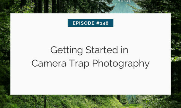 Presentation slide for an episode on camera trap photography with a forest background.