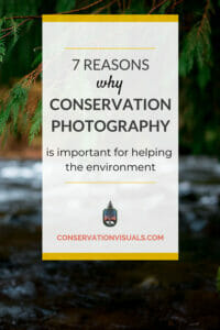 Educational poster highlighting the significance of photography in conservation efforts.