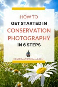 Promotional poster for a guide on "how to get started in conservation photography in 6 steps" from conservationvisuals.com against a nature backdrop.