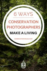 Promotional poster for conservation photographers with tips on making a living, featuring a forest background.