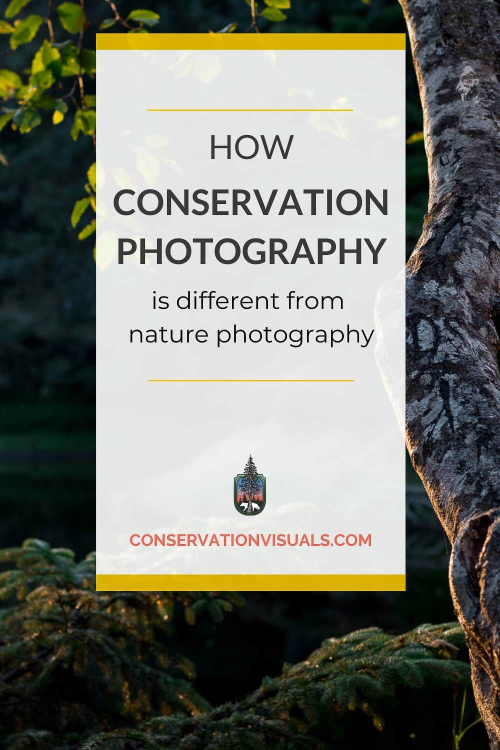 How Conservation Photography Differs From Nature Photography