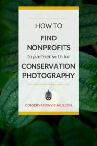 Inspirational guide poster on green foliage background titled 'how to find nonprofits to partner with for conservation photography' from conservationvisuals.com.