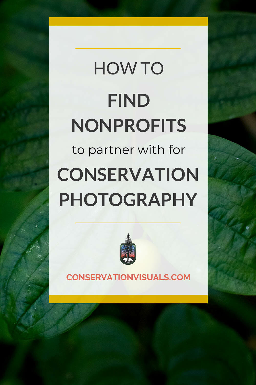 How to Find Nonprofits to Partner With for Conservation Photography