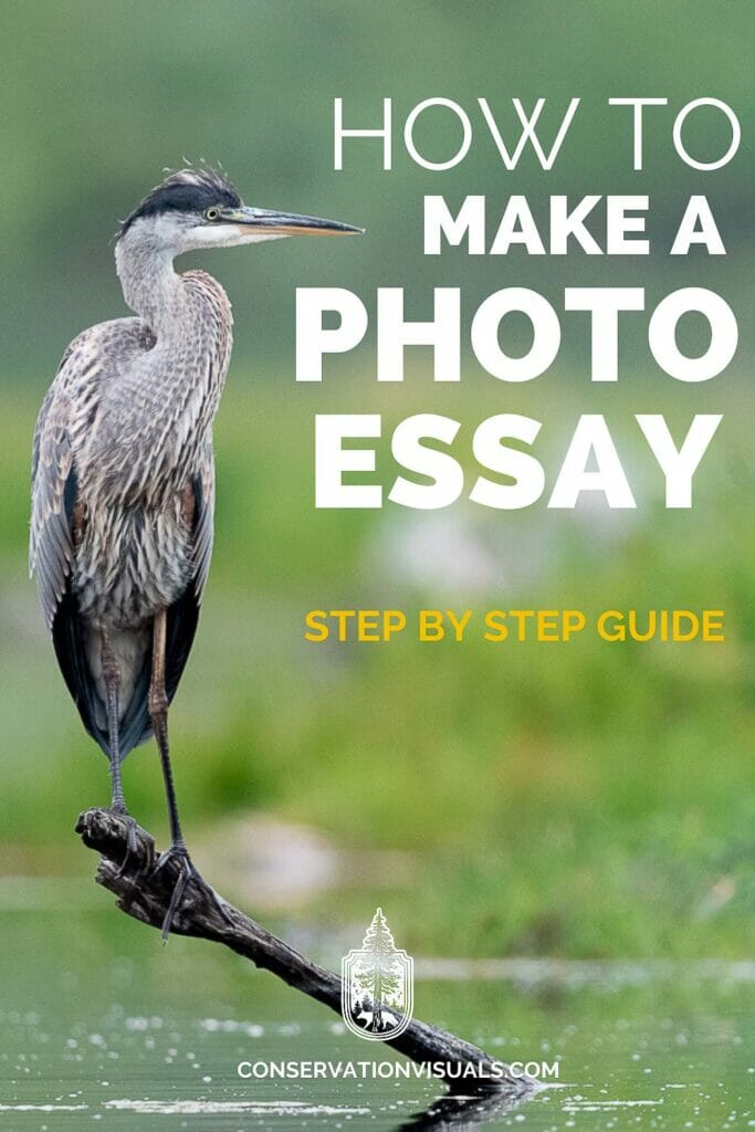 how to make photo essay in ap