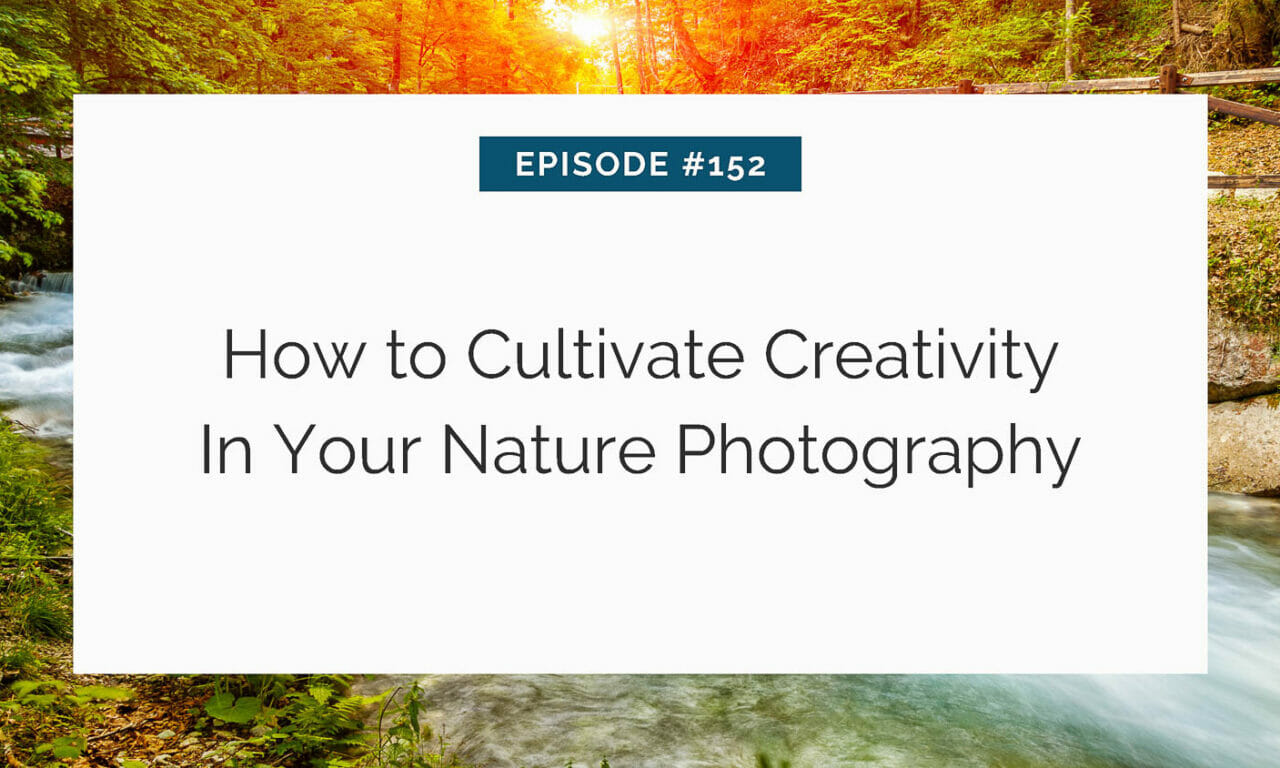 How to Cultivate Creativity In Your Photography Practice
