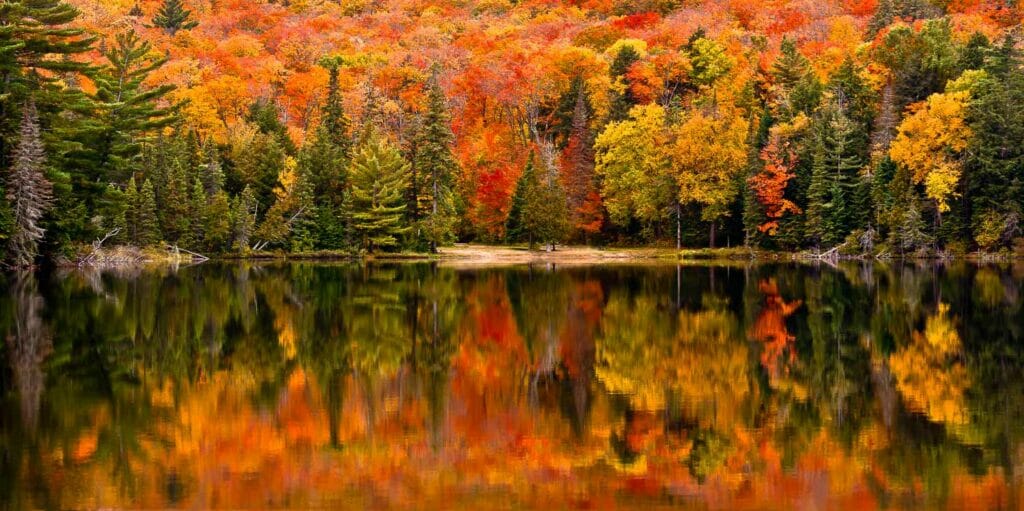 Fall Photography: Tips For Autumn Foliage And Landscapes