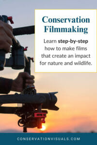 Learn the art of conservation filmmaking with a hands-on approach to creating impactful nature and wildlife documentaries.