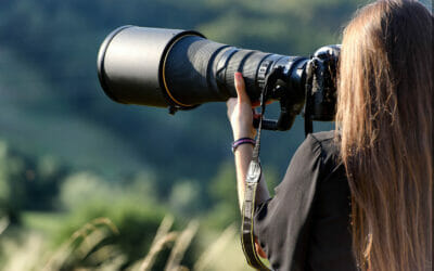 10 Best Lenses for Wildlife Photography (2024)