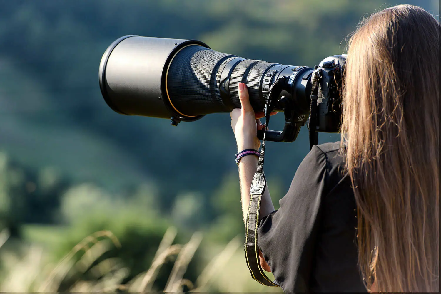 Best cameras for wildlife photography in 2023 - Amateur Photographer