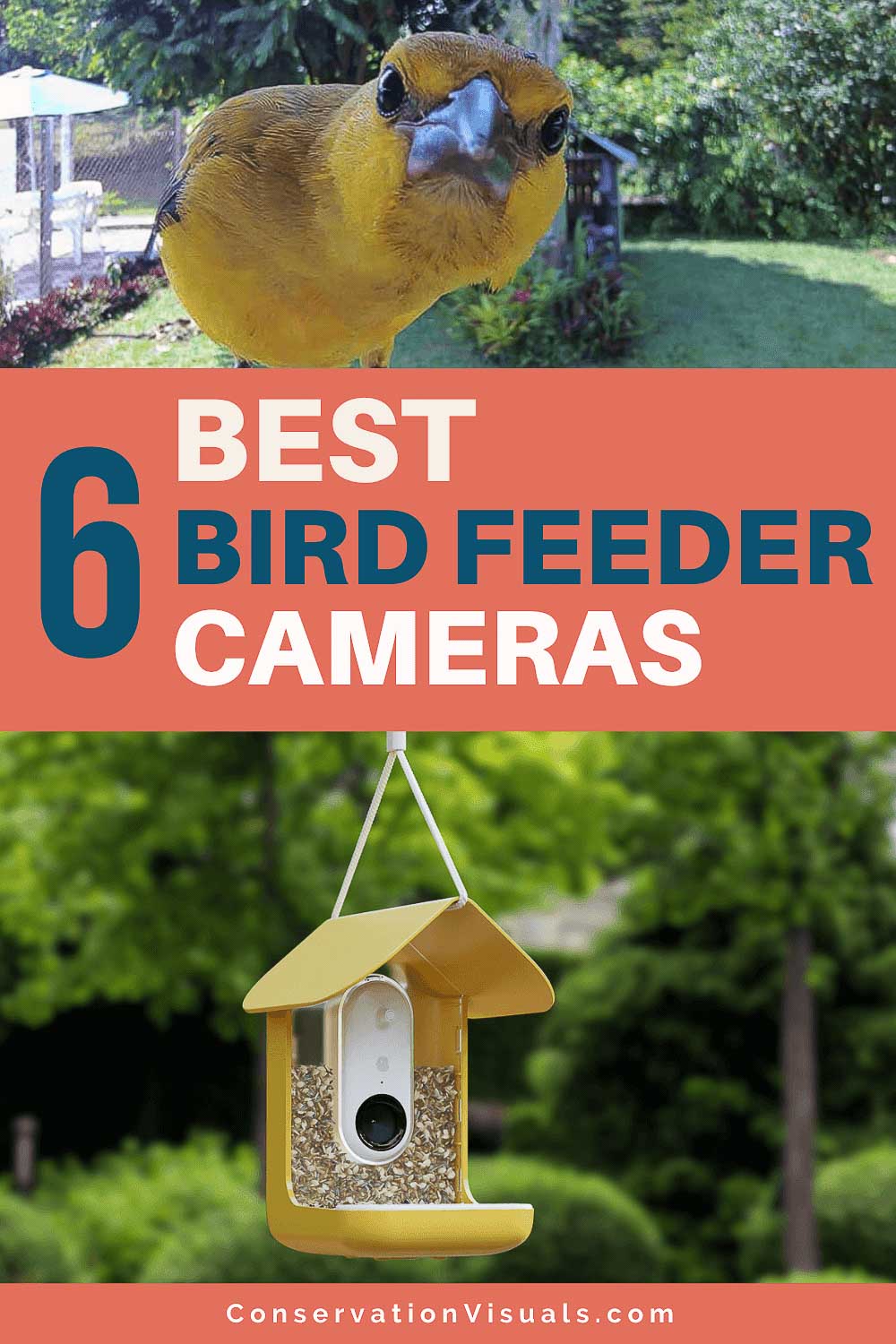 Smart Bird Feeder Lite Motion Detection Bird Home Feeder Security Came