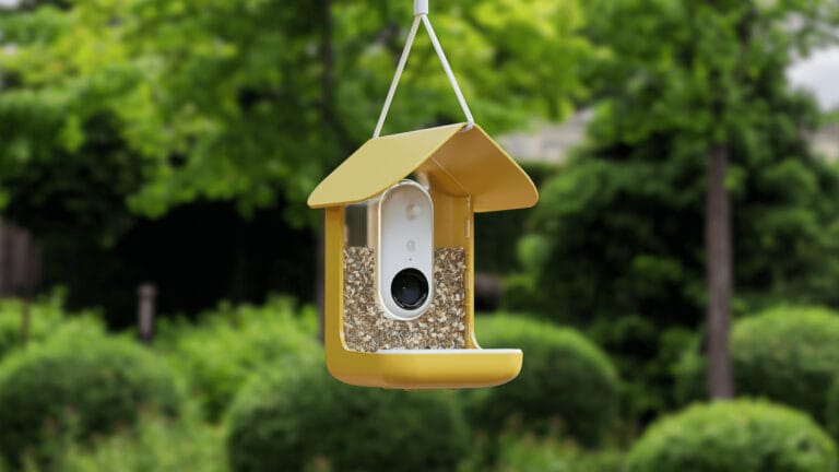 4 Best Smart Bird Feeders Of 2024 Plus How To Choose   Bird Budyd Smart Feeder 10 768x432 