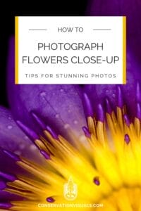 Guide to photographing flowers close-up: techniques for captivating images.
