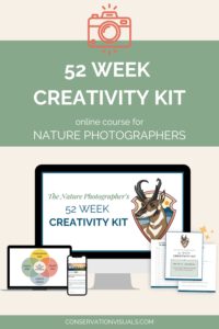 Promotional graphic for a "52 week creativity kit" online course aimed at nature photographers, featuring learning materials displayed on various devices.