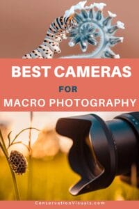 A promotional graphic highlighting the best cameras for macro photography, featuring an image of a camera lens in the foreground and a close-up of a caterpillar on a plant in the background.