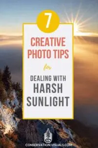 7 creative photo tips for dealing with harsh sunlight" on a scenic mountain background.