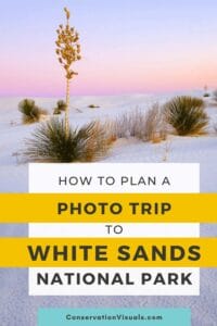 Promotional poster for planning a photography trip to white sands national park featuring desert vegetation at dusk.