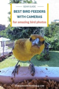 Guide to the best bird feeders with cameras for capturing stunning bird photos.