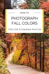 Guide to photographing fall colors: strategies for capturing autumnal beauty.