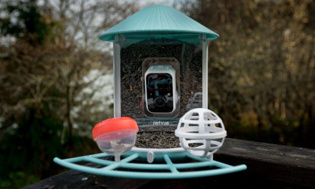 Netvue Birdfy Review: The Smart Camera Feeder for Birdwatchers