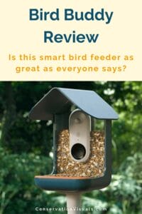 An image of a bird feeder filled with seeds, featured in an review article questioning its effectiveness.