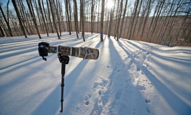 Best Monopod for Photography in 2024 (Plus How To Choose)